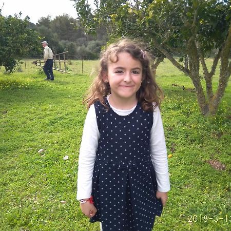 Agroturismo Sa Vall Son Macia  Dış mekan fotoğraf